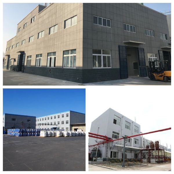 Porcellana Shandong Jiuchong Chemical Co., Ltd. Profilo Aziendale
