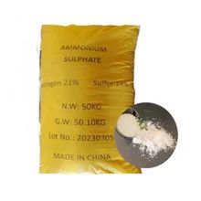 500 g campione gratuito ISO approvato polvere di solfato di ammonio bianco per fertilizzante agricolo